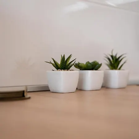 Dalmatia Znjan Apartmán *